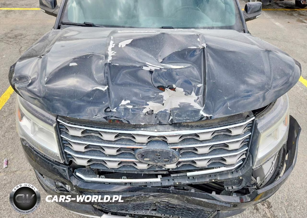 2017 Ford Explorer Xlt VIN:1FM5K7DH6HGC46056 - 12