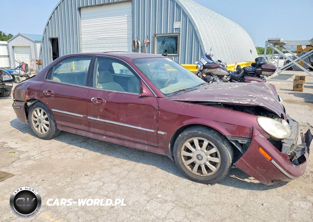 2004 Hyundai Sonata Gls VIN:KMHWF35H54A989028 - 4