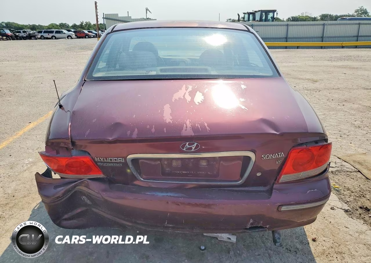 2004 Hyundai Sonata Gls VIN:KMHWF35H54A989028 - 6