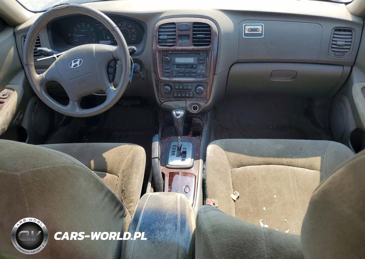 2004 Hyundai Sonata Gls VIN:KMHWF35H54A989028 - 8