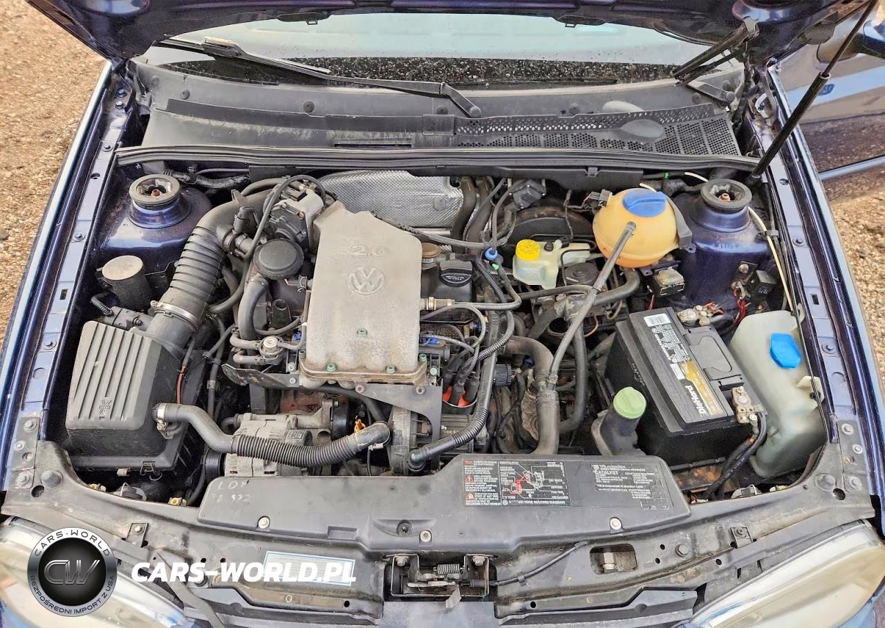 2001 Volkswagen Cabrio Gls VIN:3VWCC21V11M812946 - 11