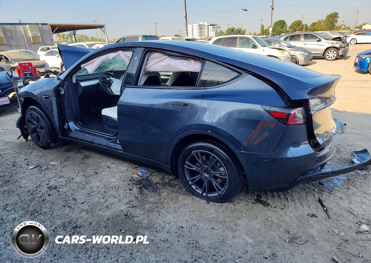 2025 Tesla Model Y VIN:7SAYGDED0SF315549 - 2