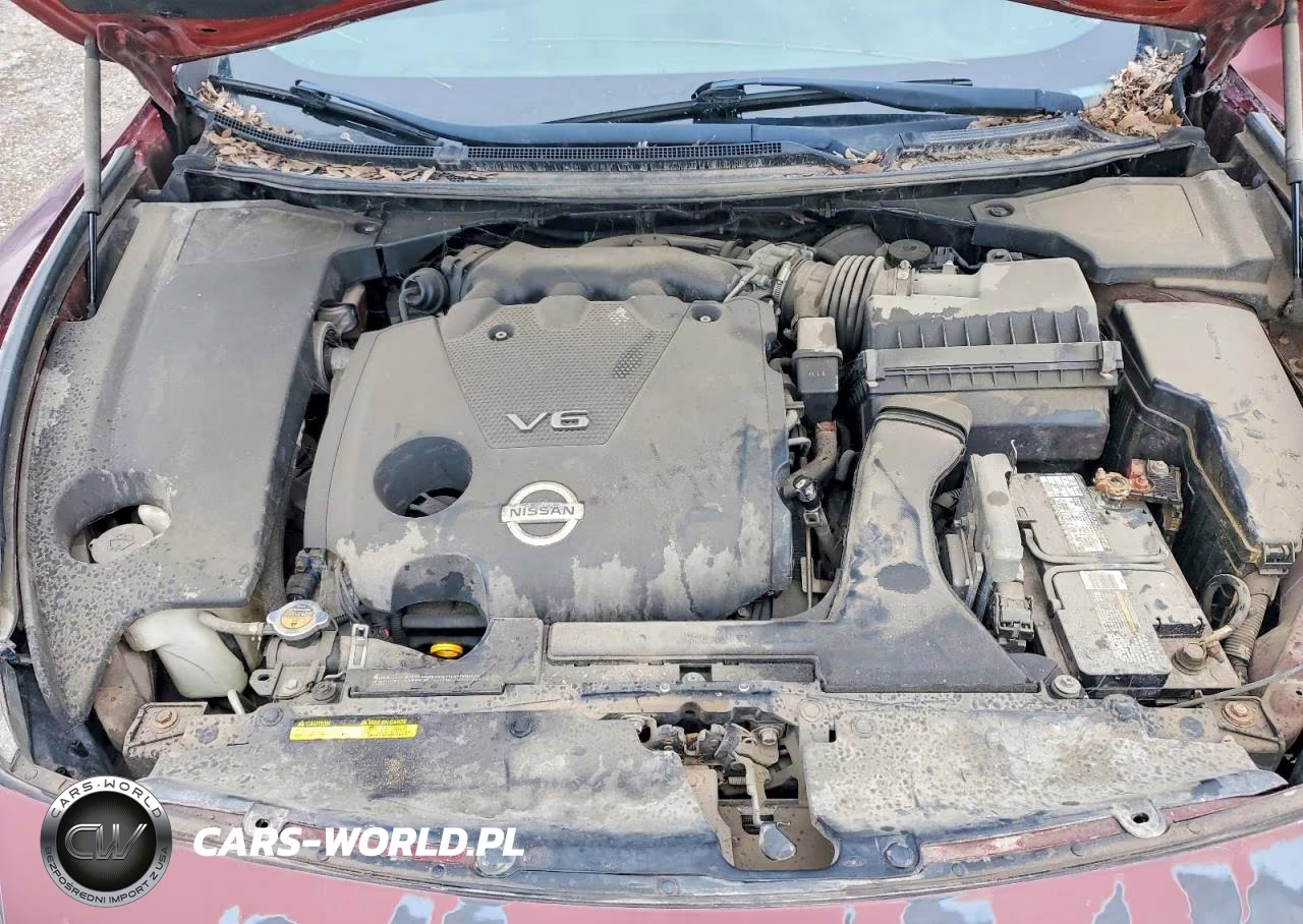 2011 Nissan Maxima VIN:1N4AA5AP2BC843022 - 11