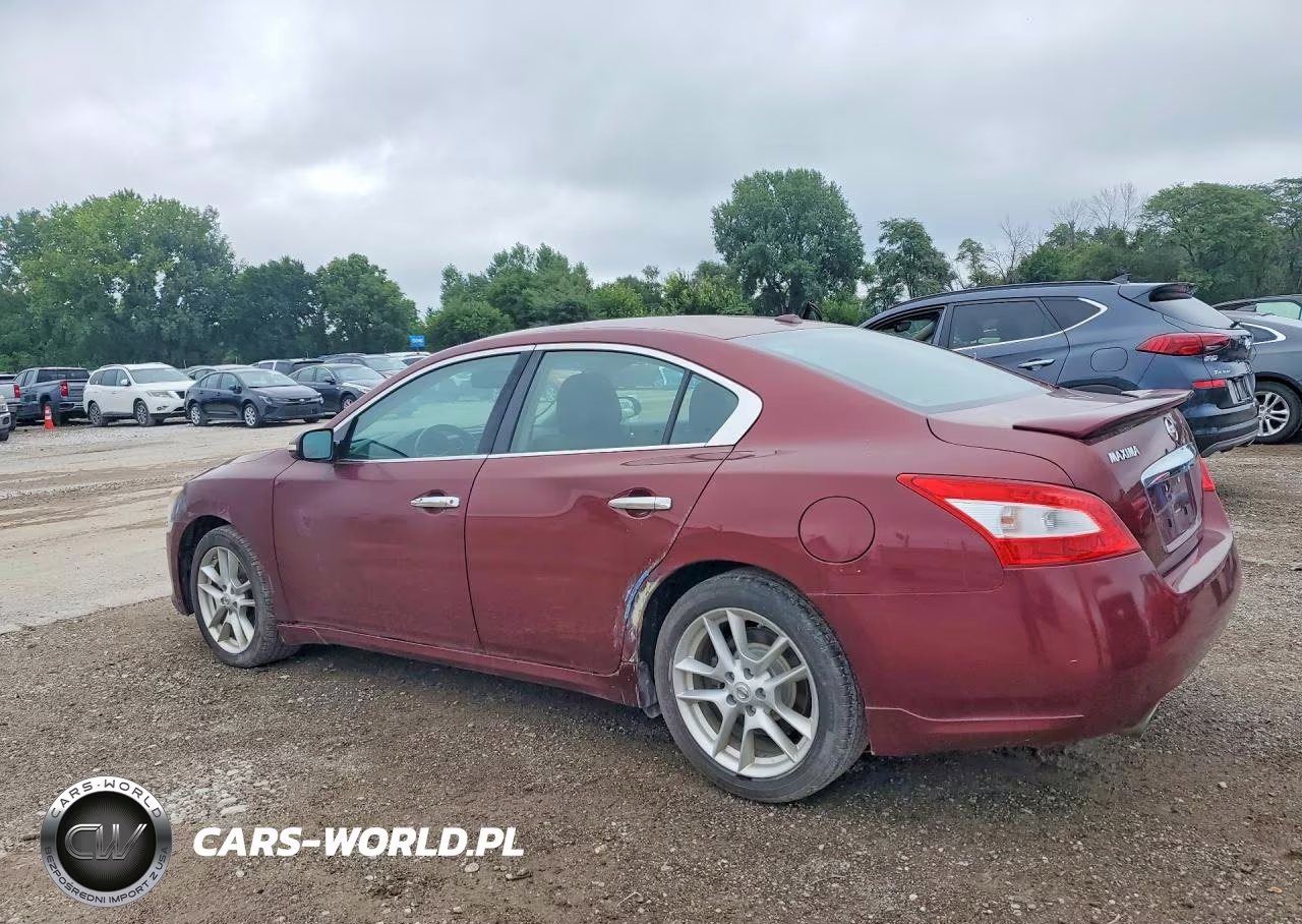 2011 Nissan Maxima VIN:1N4AA5AP2BC843022 - 2