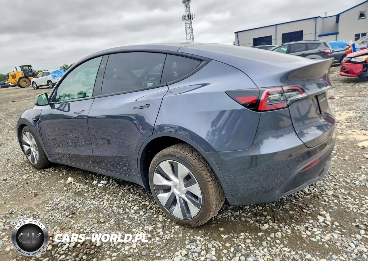 2023 Tesla Model Y VIN:7SAYGDEE2PF892258 - 2