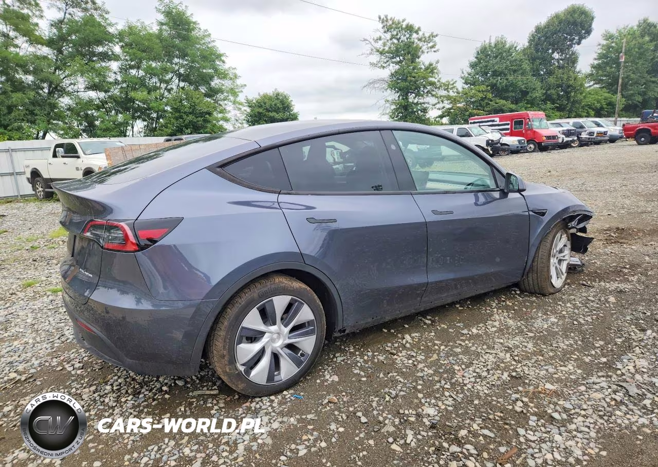 2023 Tesla Model Y VIN:7SAYGDEE2PF892258 - 3