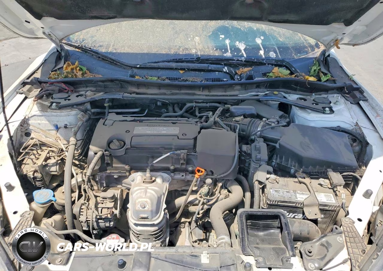2014 Honda Accord Exl VIN:1HGCR2F87EA126743 - 11