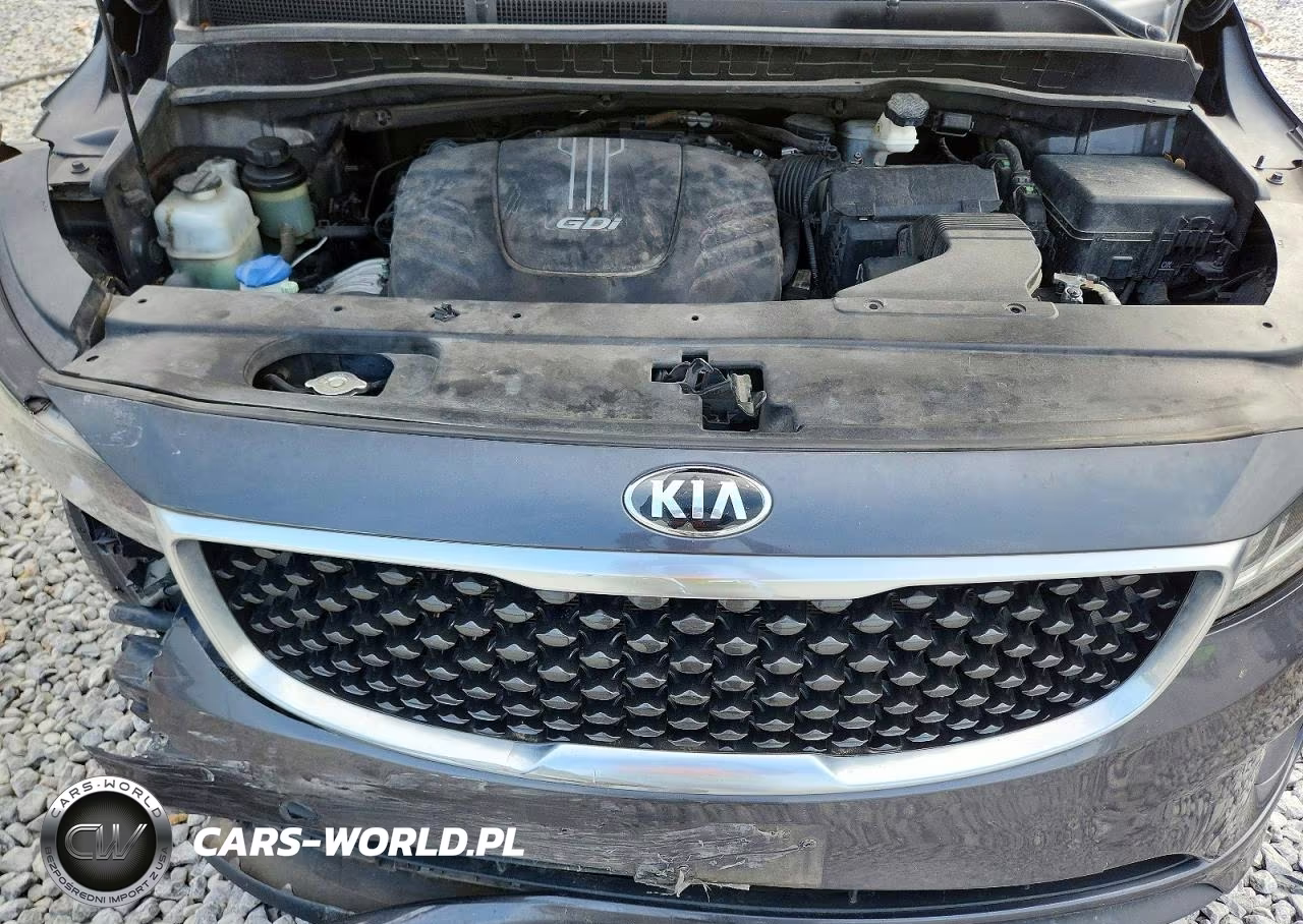 2016 Kia Sedona Lx VIN:KNDMB5C12G6110777 - 12