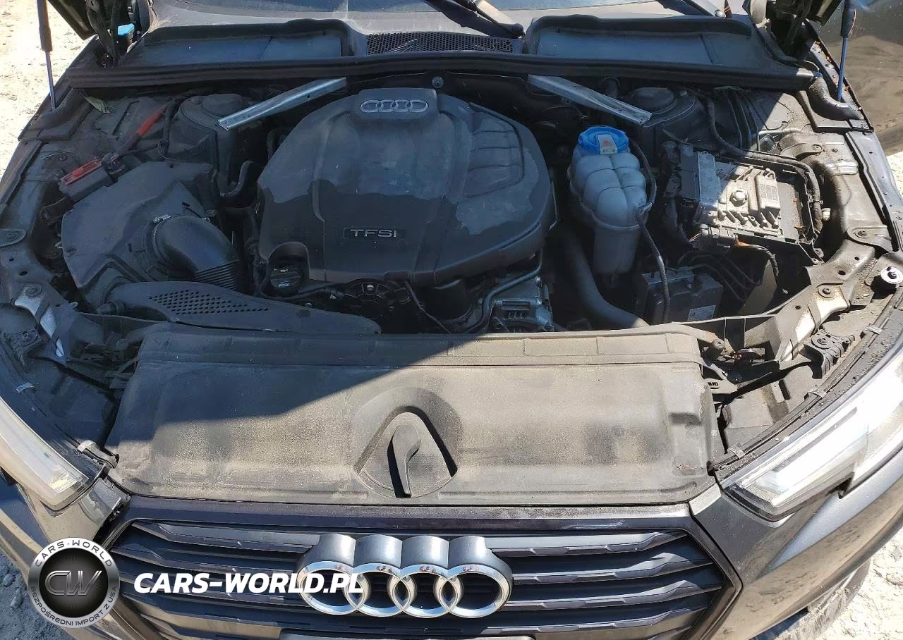 2019 Audi A4 Premium Plus VIN:WAUENAF40KA011551 - 11