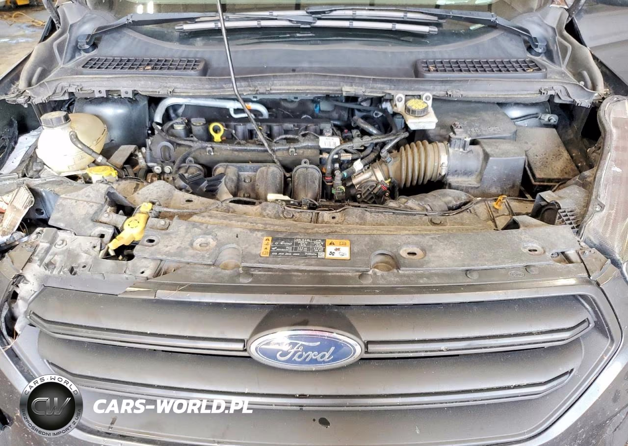 2019 Ford Escape S VIN:1FMCU0F79KUA09678 - 12
