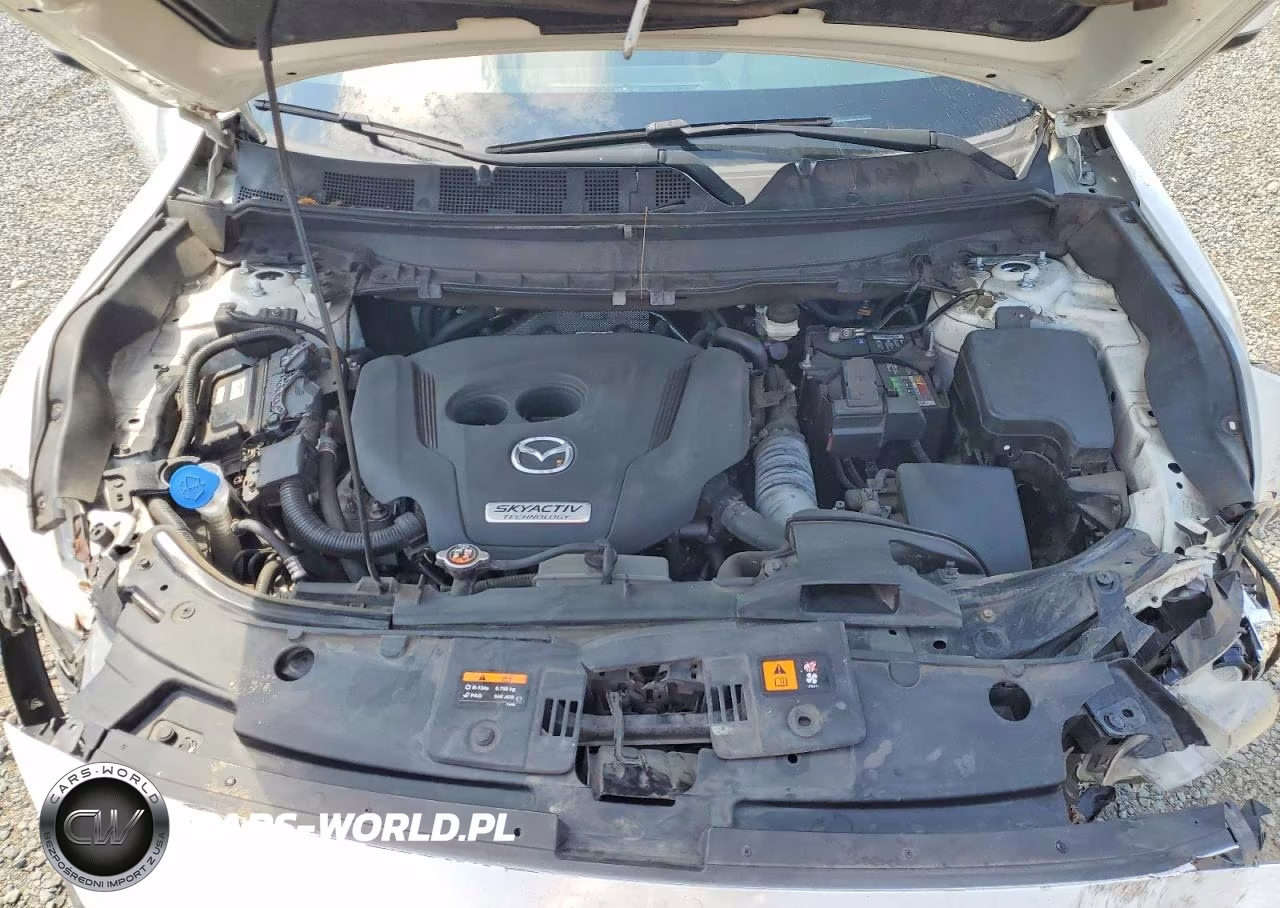 2019 Mazda Cx-9 Sport VIN:JM3TCABY3K0313339 - 12