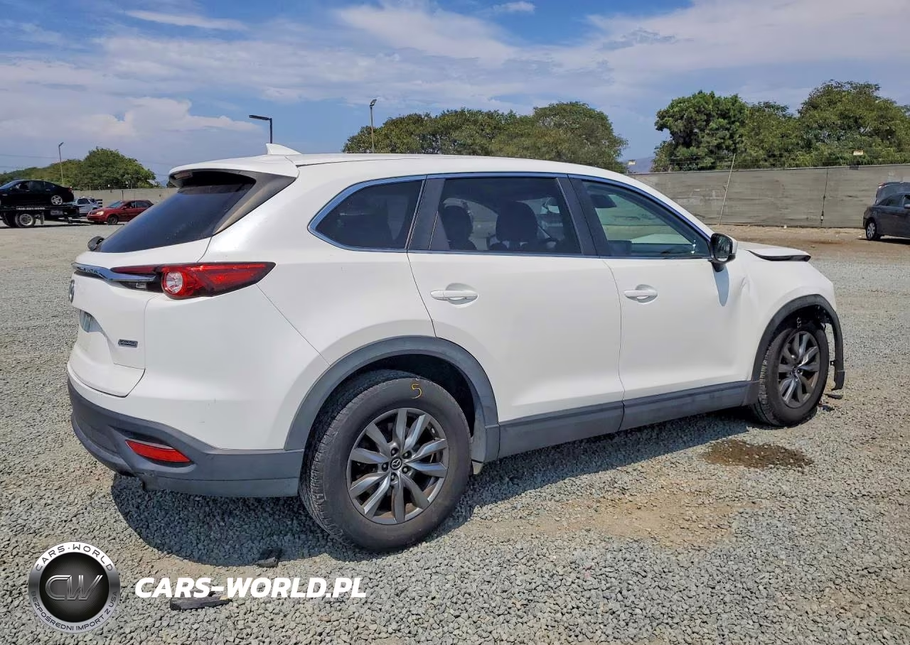 2019 Mazda Cx-9 Sport VIN:JM3TCABY3K0313339 - 3