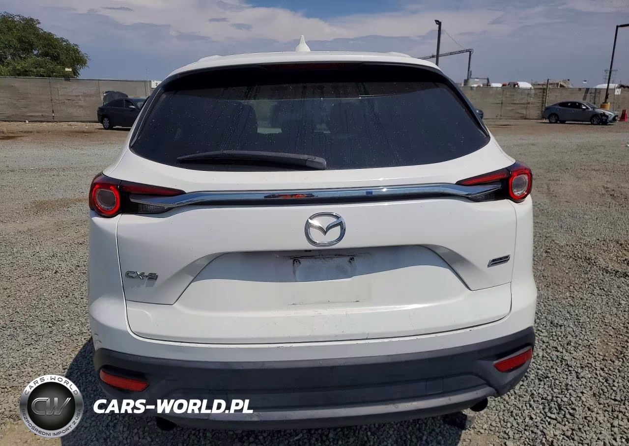 2019 Mazda Cx-9 Sport VIN:JM3TCABY3K0313339 - 6