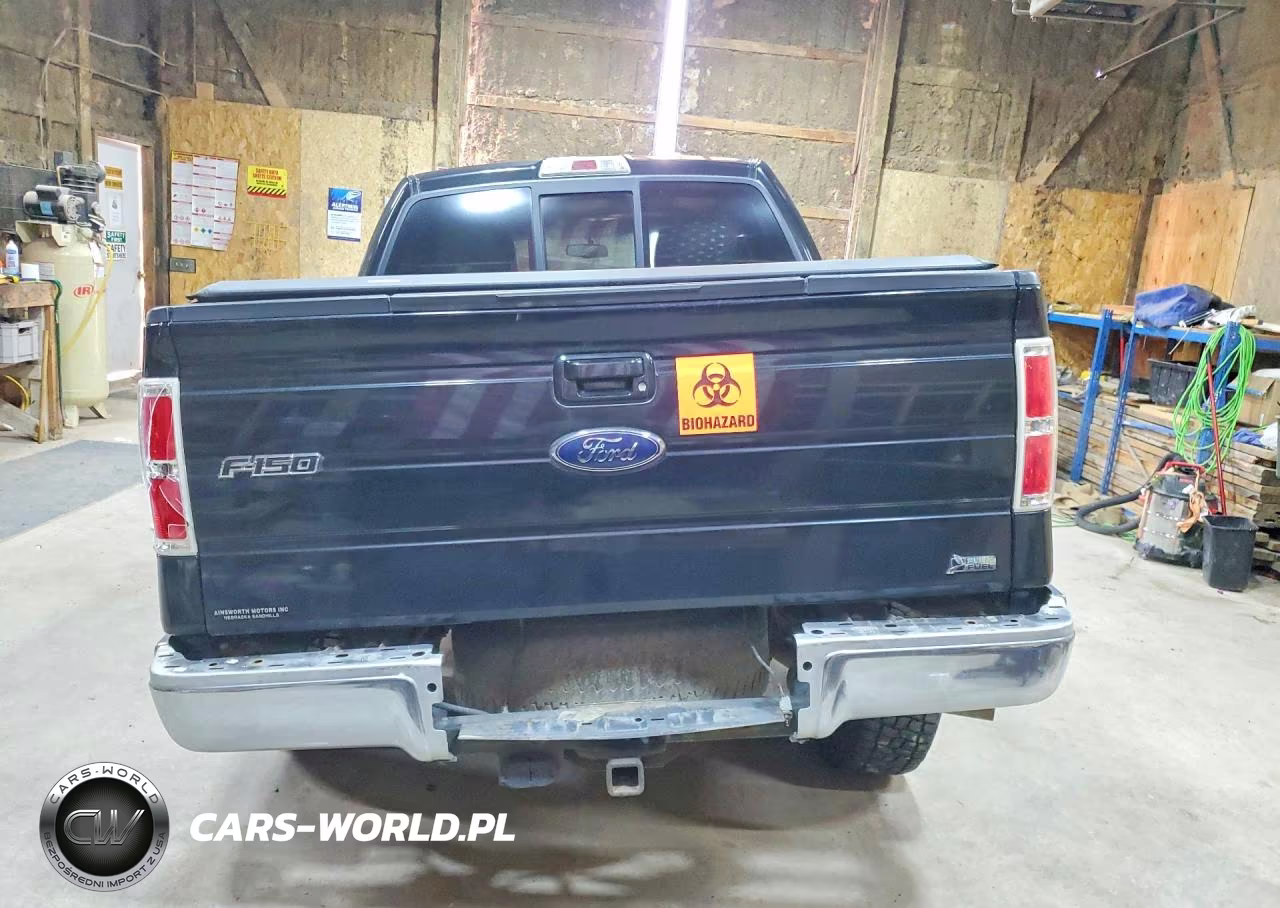 2010 Ford F150 Supercrew VIN:1FTFW1EV3AFB53828 - 6