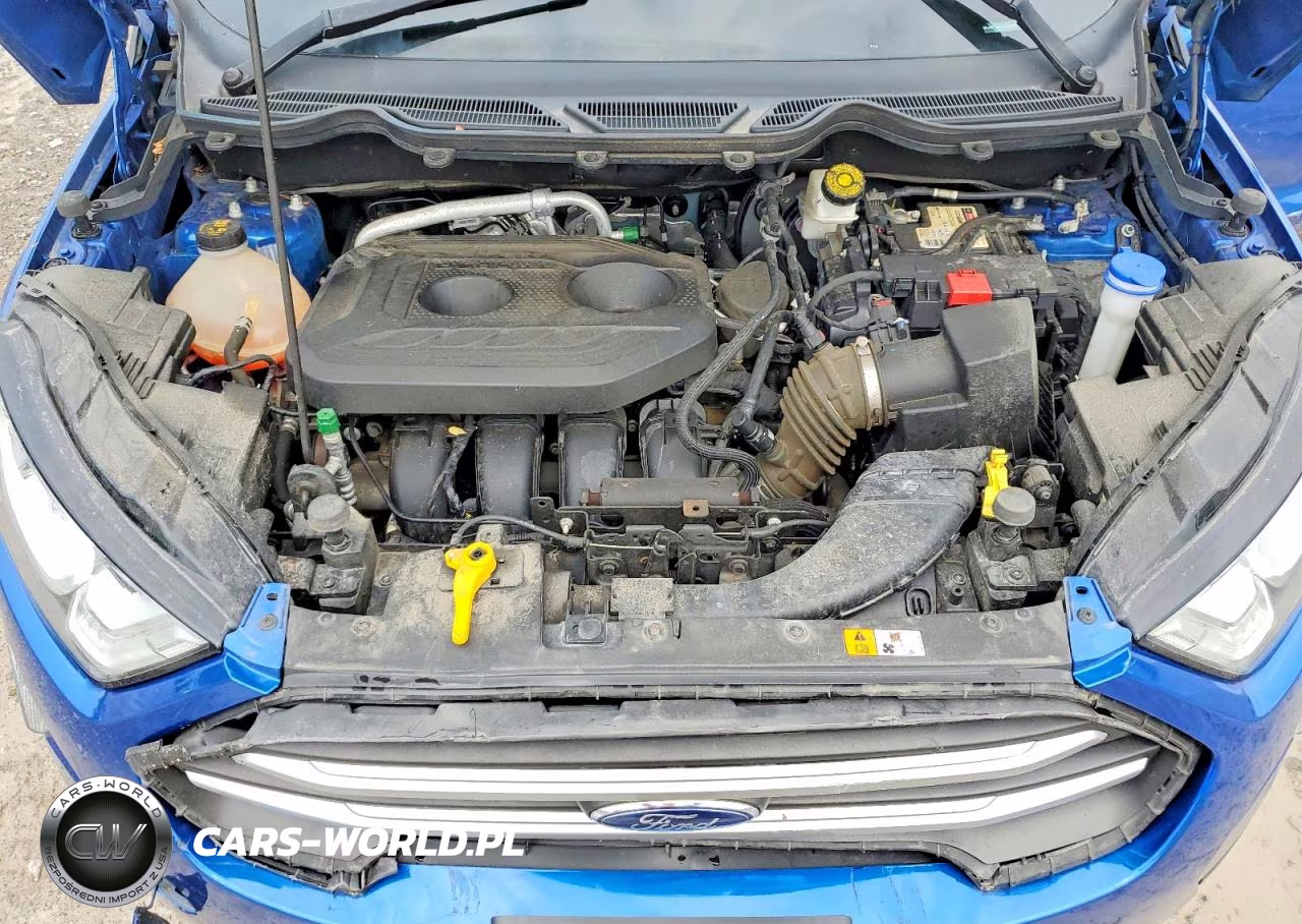 2018 Ford Ecosport Se VIN:MAJ6P1UL7JC226364 - 12