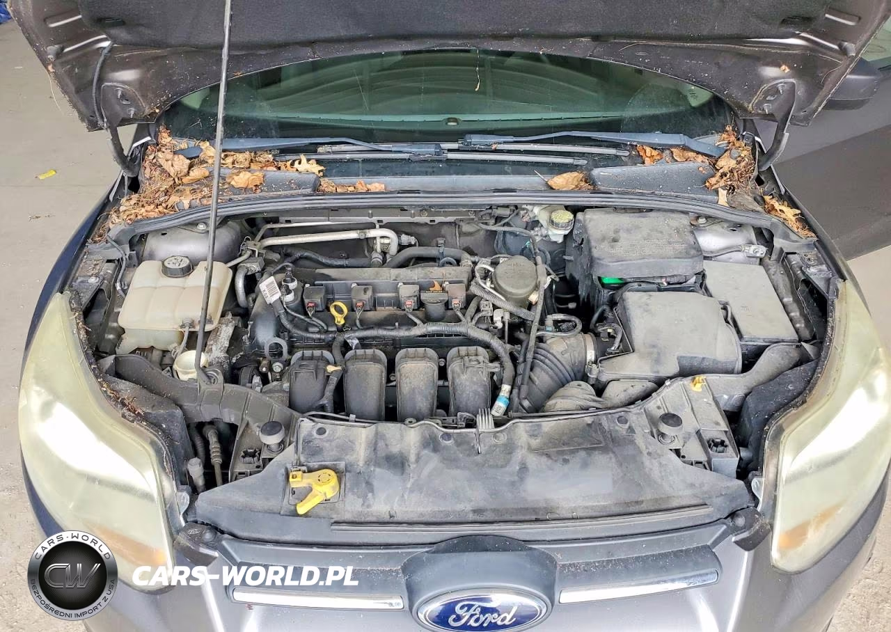 2013 Ford Focus S VIN:1FADP3E23DL143656 - 11