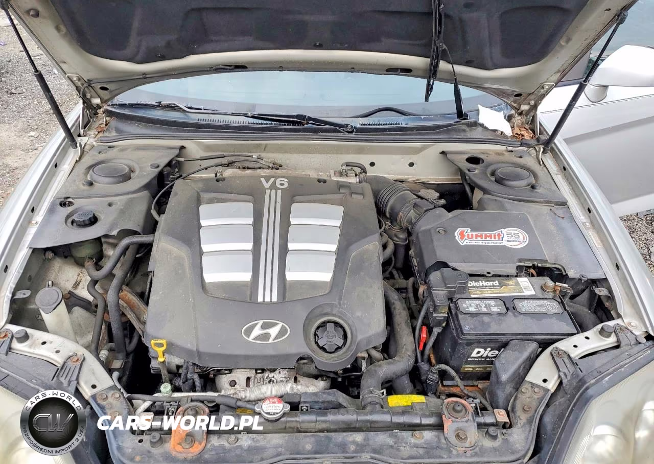 2003 Hyundai Tiburon Gt V6 VIN:KMHHN65F33U013208 - 11