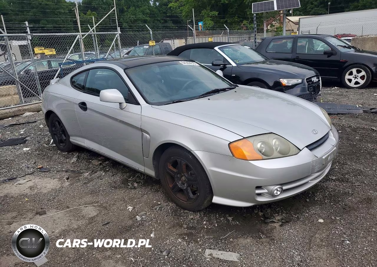 2003 Hyundai Tiburon Gt V6 VIN:KMHHN65F33U013208 - 4