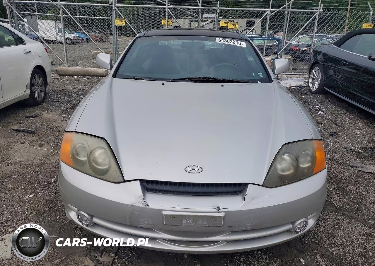 2003 Hyundai Tiburon Gt V6 VIN:KMHHN65F33U013208 - 5