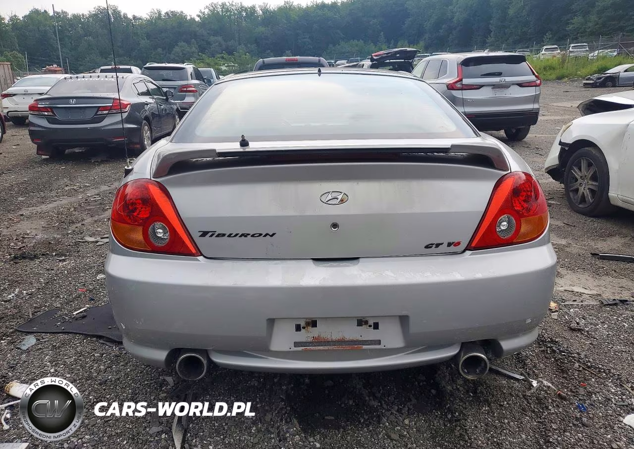 2003 Hyundai Tiburon Gt V6 VIN:KMHHN65F33U013208 - 6
