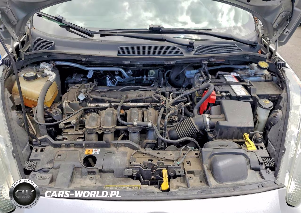 2014 Ford Fiesta Se VIN:3FADP4BJ9EM106824 - 11