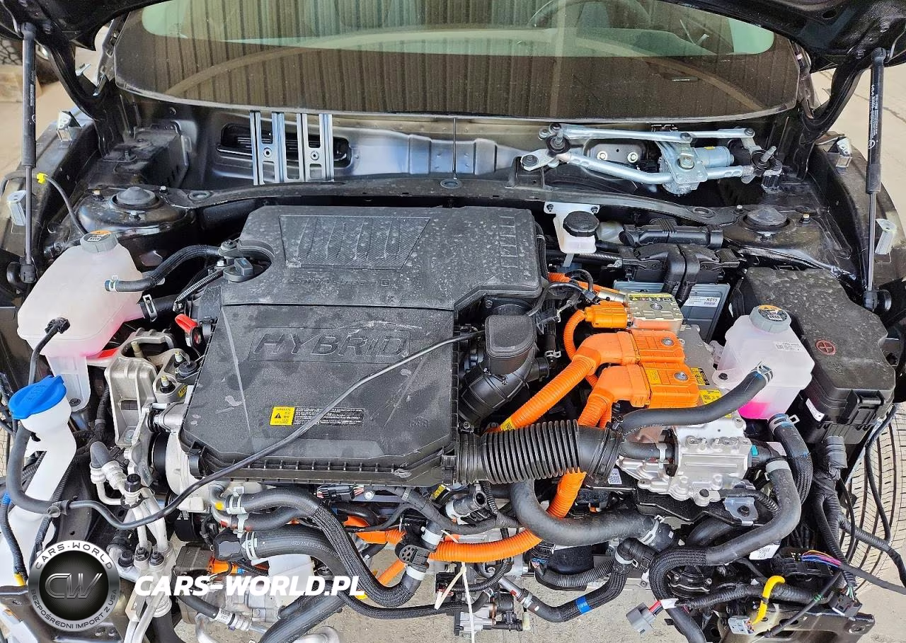 2025 Kia Niro Ex VIN:KNDCR3LE2S5292770 - 12