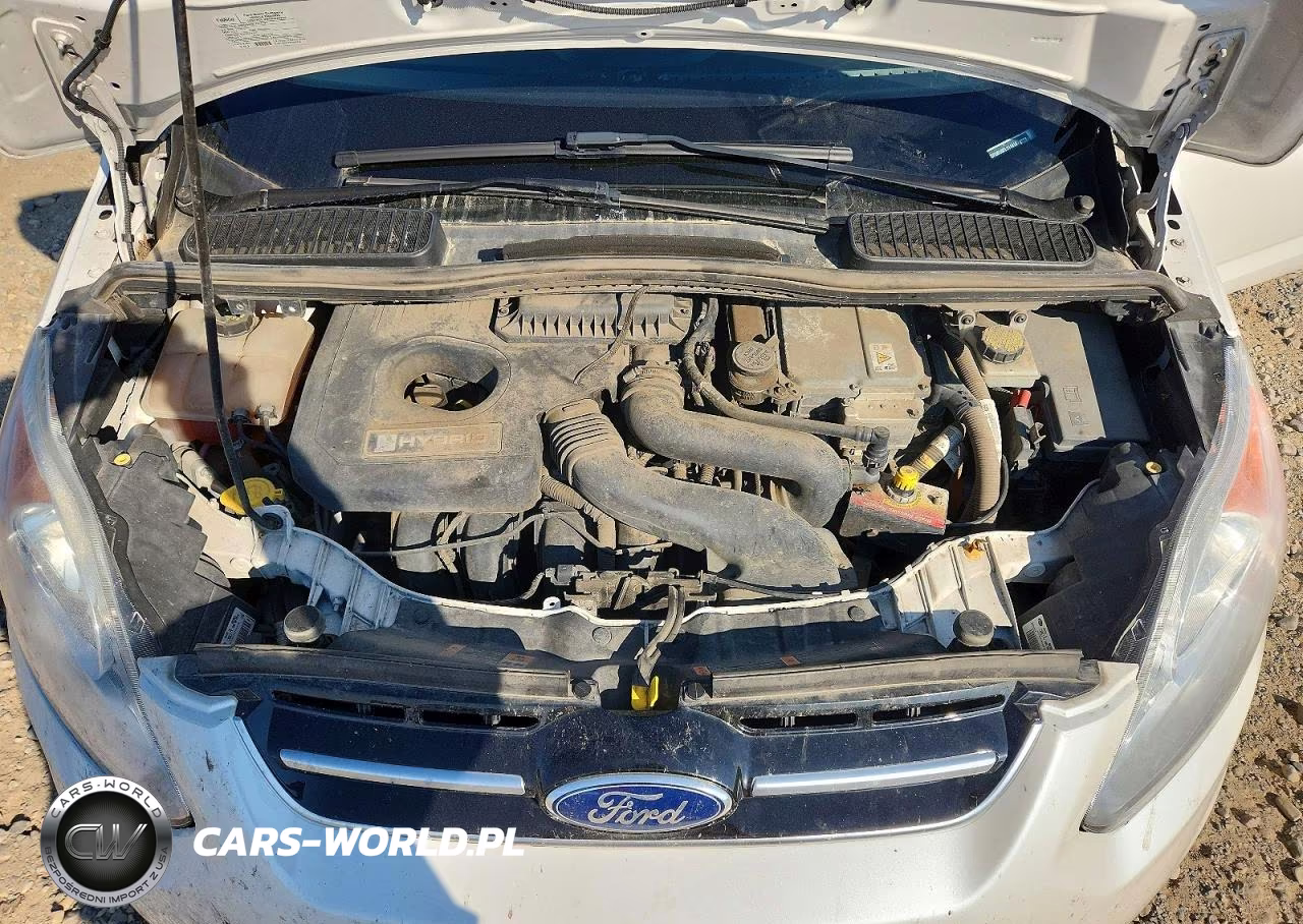 2015 Ford C-Max Sel VIN:1FADP5BU0FL111414 - 11