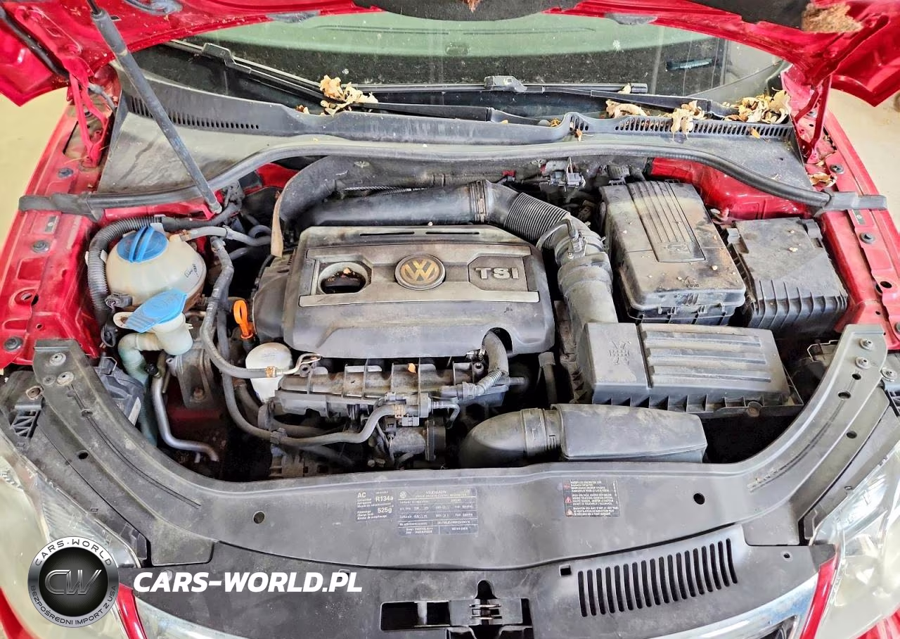 2009 Volkswagen Eos Turbo VIN:WVWBA71F49V015098 - 11