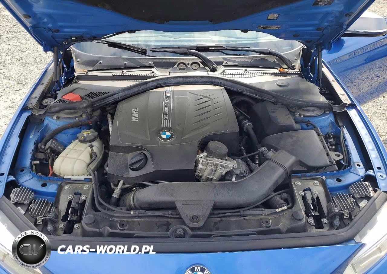 2014 BMW M235I VIN:WBA1J7C51EV253210 - 11