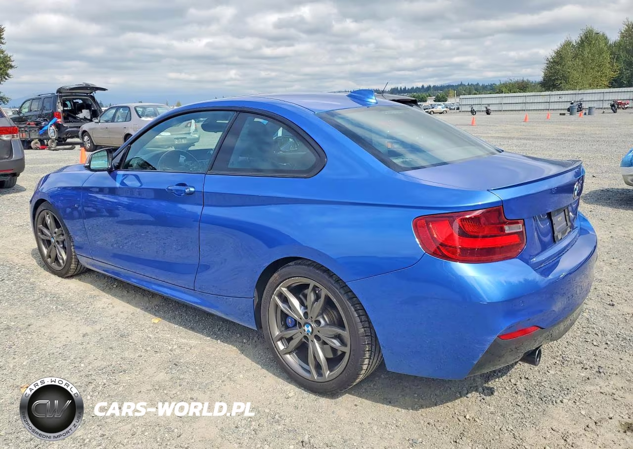 2014 BMW M235I VIN:WBA1J7C51EV253210 - 2