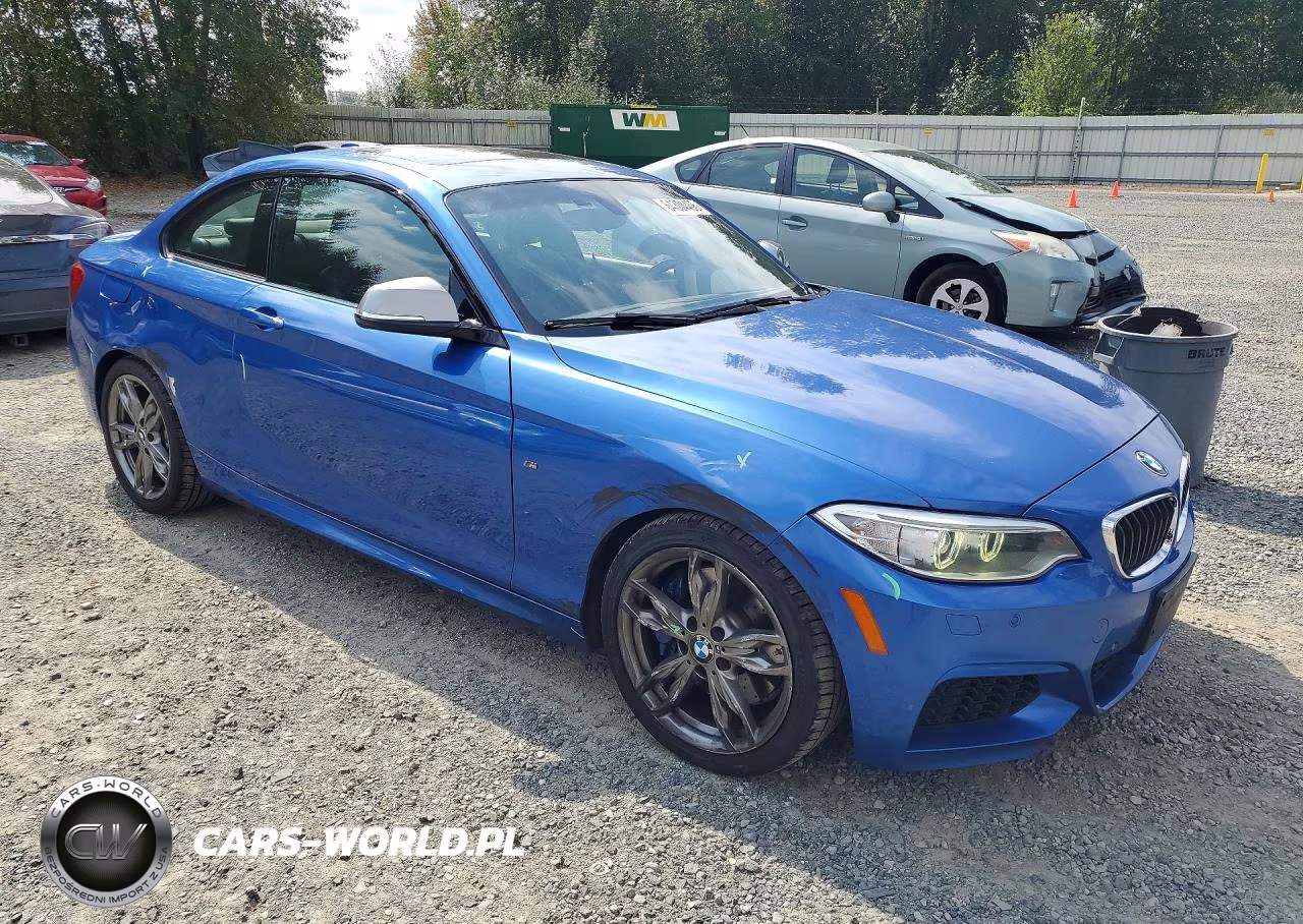 2014 BMW M235I VIN:WBA1J7C51EV253210 - 4