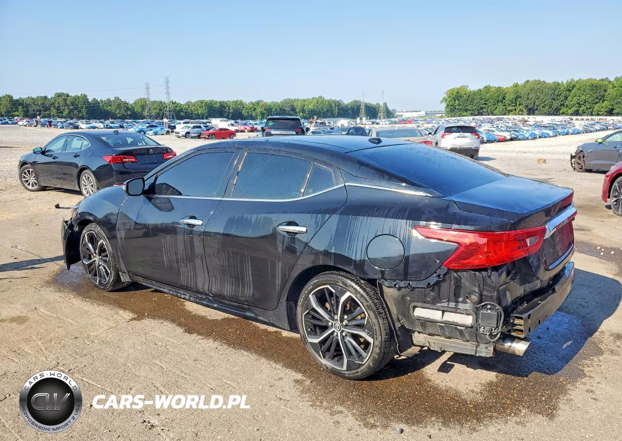 2016 Nissan Maxima Platinum VIN:1N4AA6AP2GC395961 - 2
