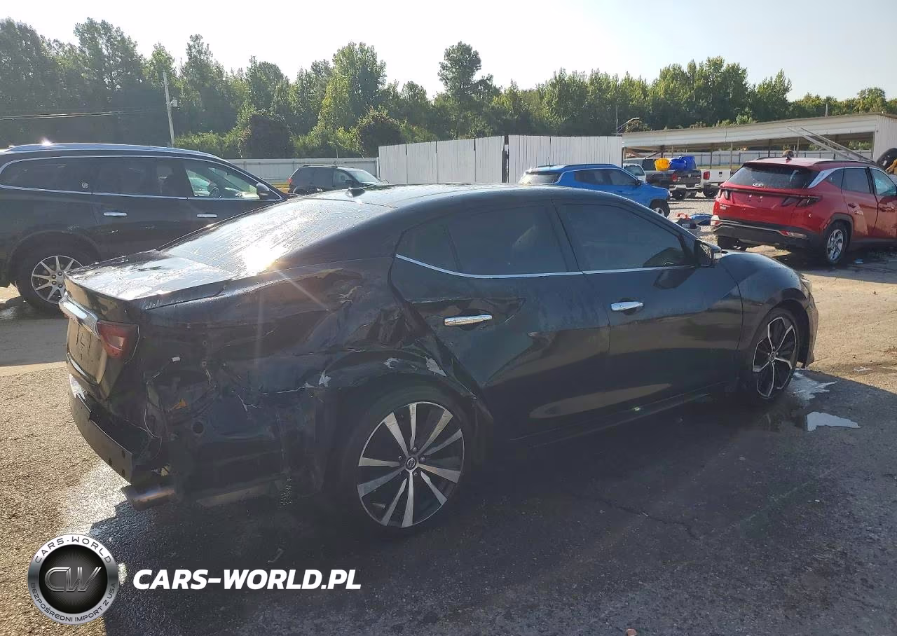 2016 Nissan Maxima Platinum VIN:1N4AA6AP2GC395961 - 3