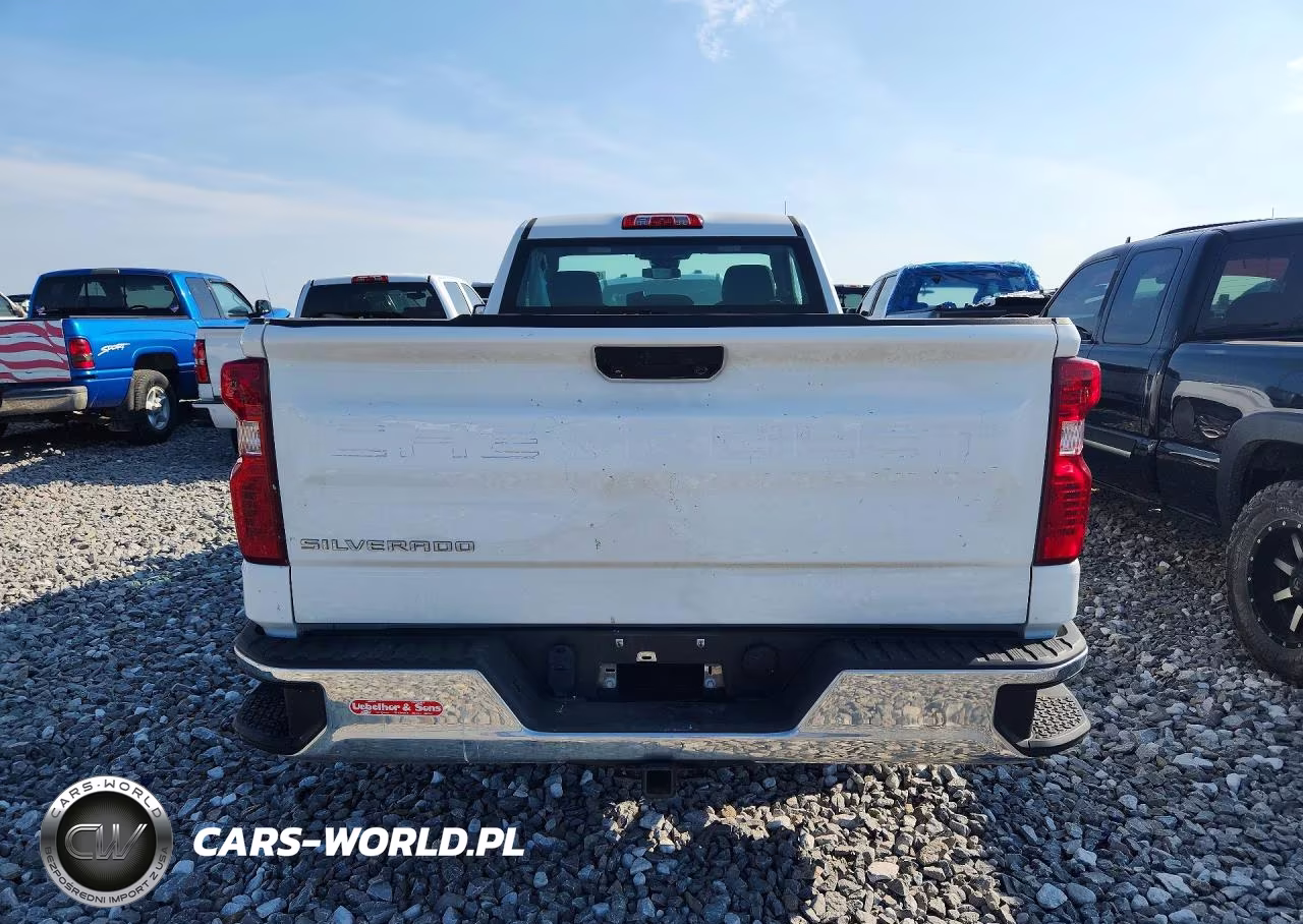 2022 Chevrolet Silverado C1500 VIN:3GCNAAED8NG607819 - 6