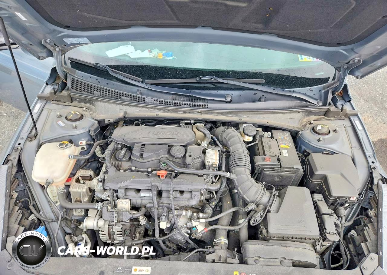 2022 Hyundai Elantra N Line VIN:KMHLR4AF3NU329588 - 11