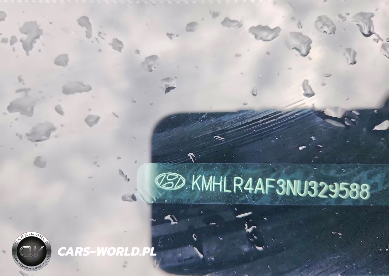 2022 Hyundai Elantra N Line VIN:KMHLR4AF3NU329588 - 12