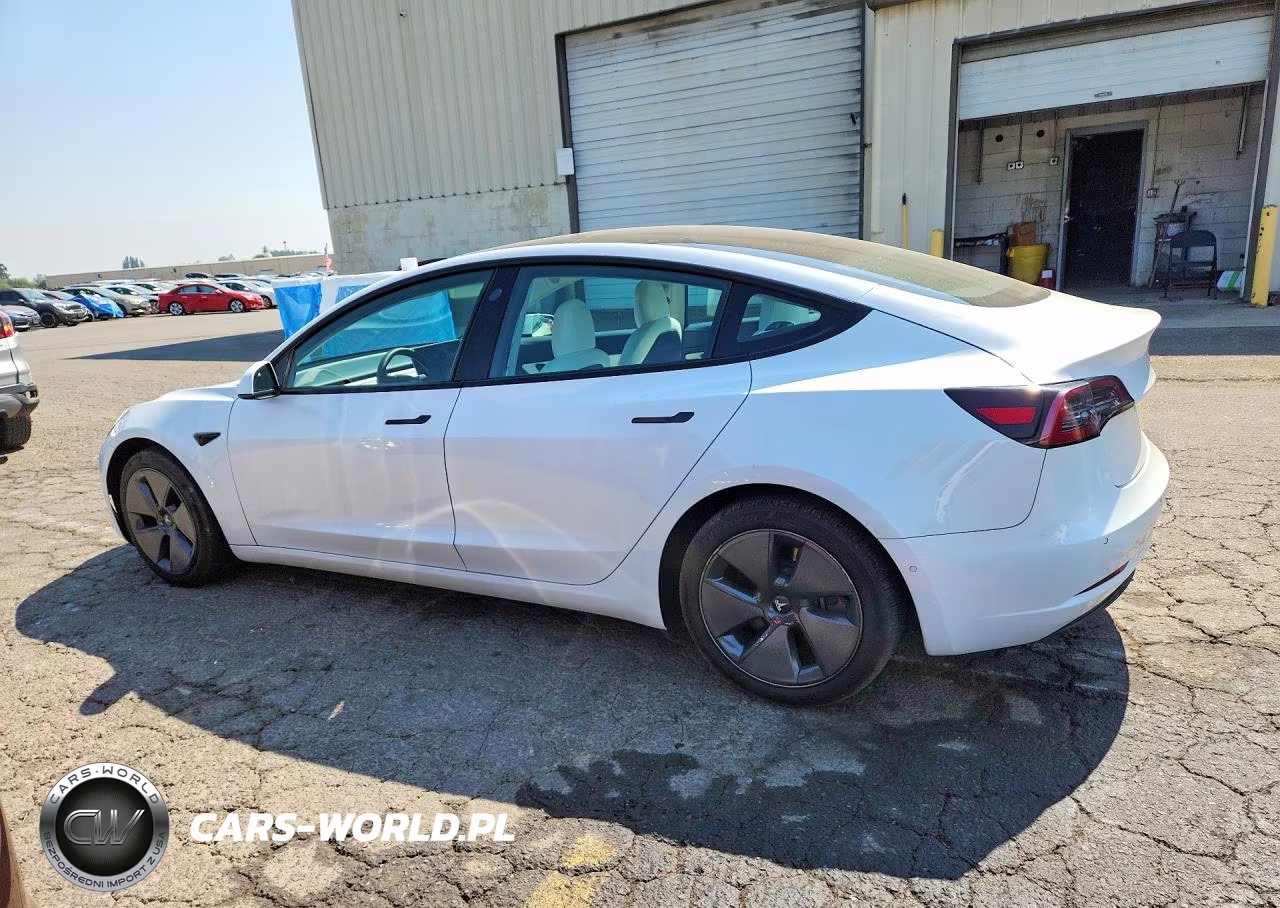 2021 Tesla Model 3 VIN:5YJ3E1EA9MF873291 - 2