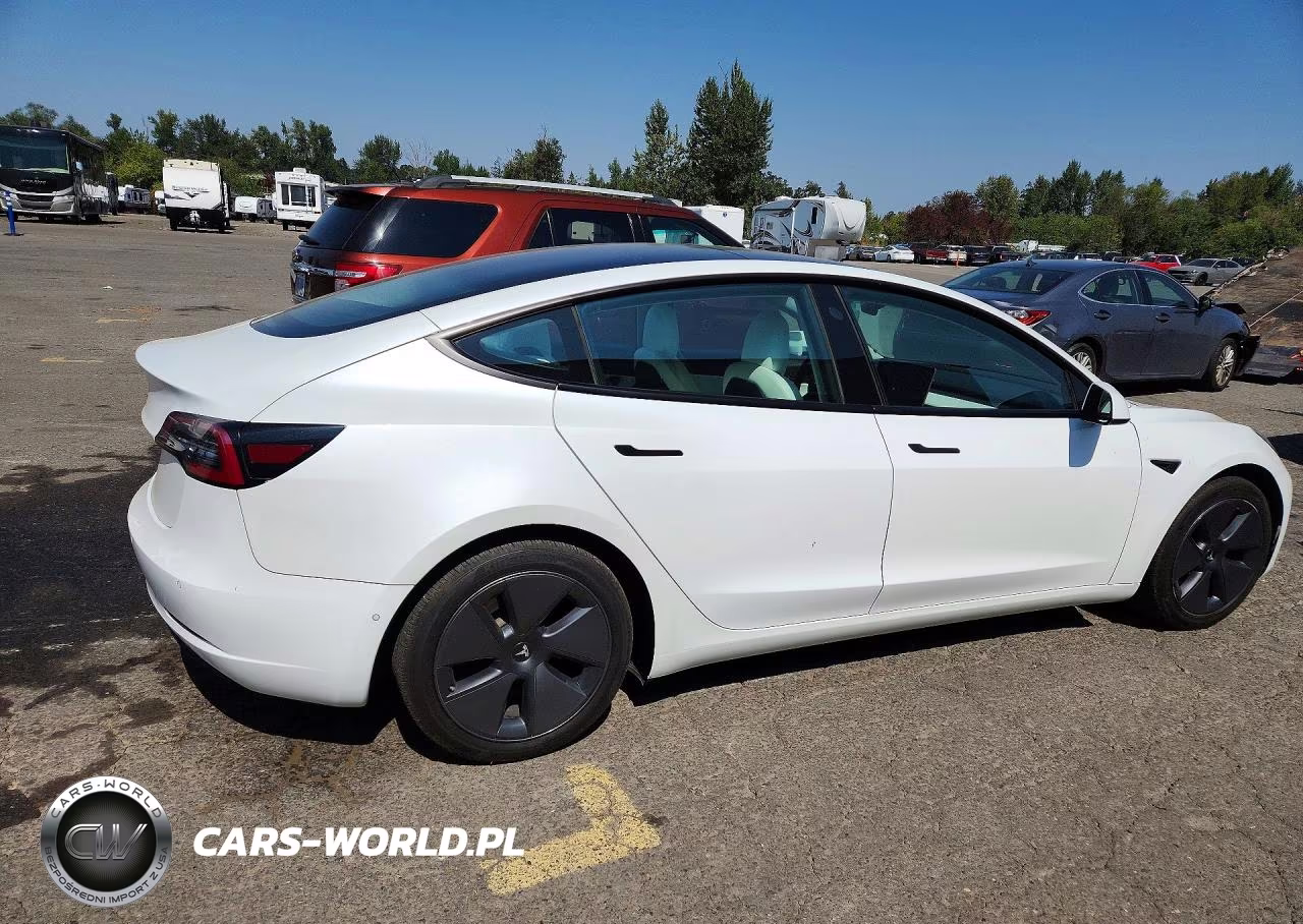 2021 Tesla Model 3 VIN:5YJ3E1EA9MF873291 - 3