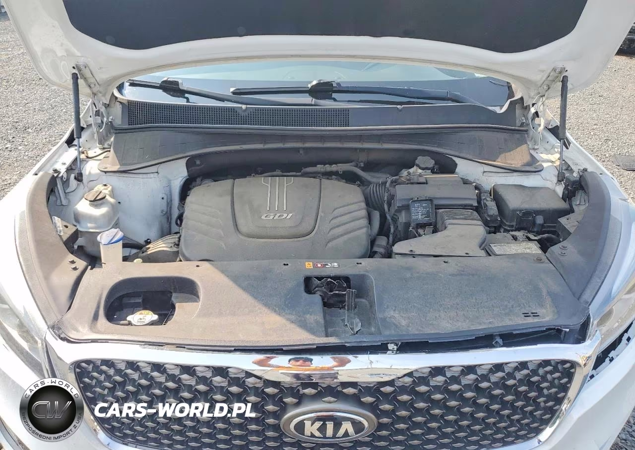 2016 Kia Sorento Ex VIN:5XYPHDA57GG016905 - 12