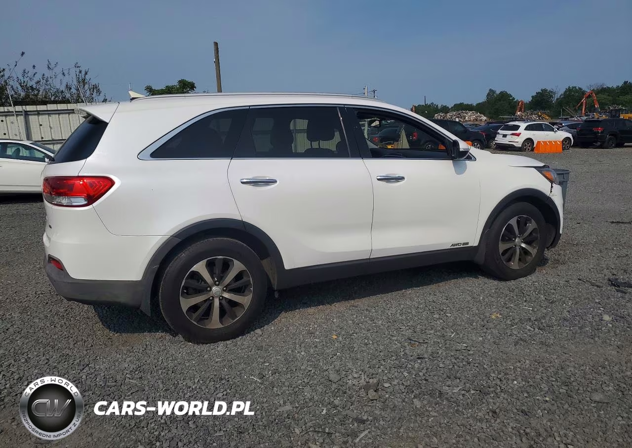 2016 Kia Sorento Ex VIN:5XYPHDA57GG016905 - 3