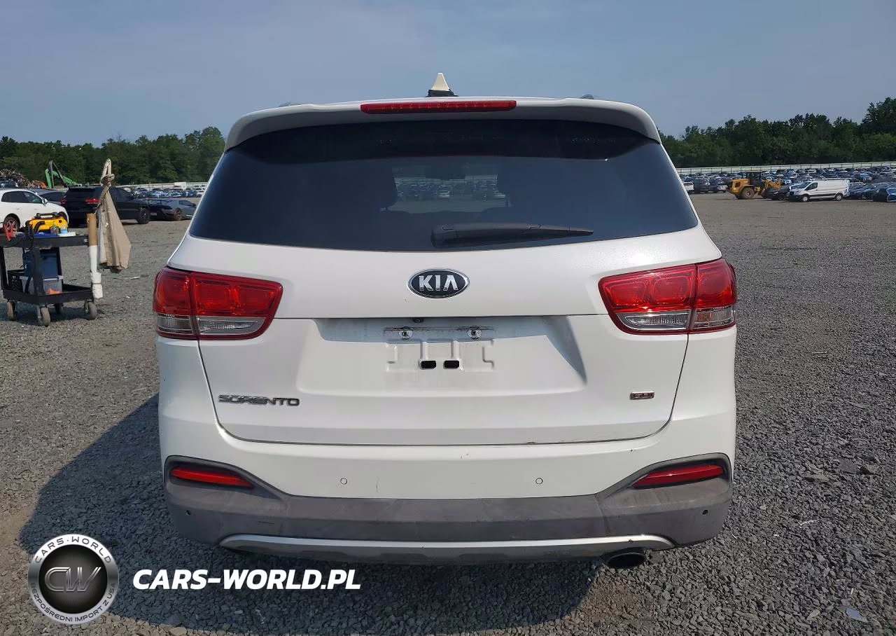 2016 Kia Sorento Ex VIN:5XYPHDA57GG016905 - 6