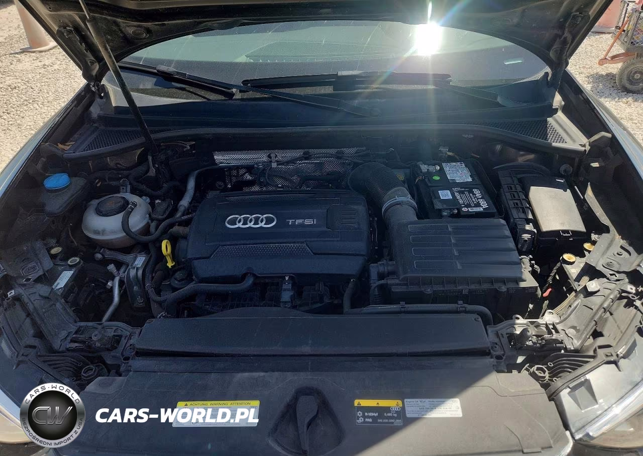 2019 Audi Q3 Premium VIN:WA1AECF38K1076159 - 11