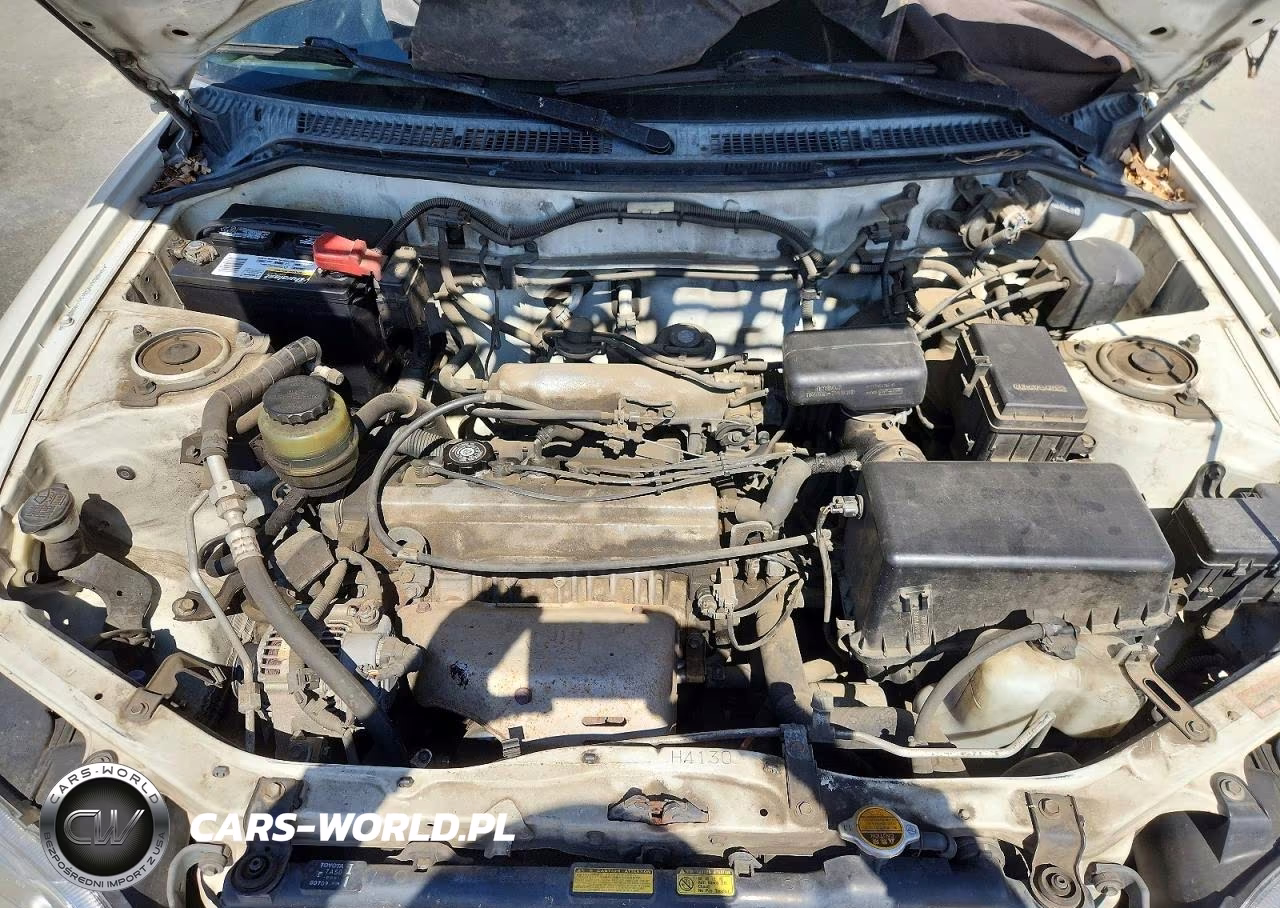 1999 Toyota Rav4 Base VIN:JT3HP10V5X7149722 - 12