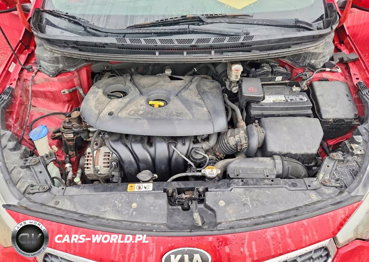 2015 Kia Forte Lx VIN:KNAFX4A6XF5354231 - 11
