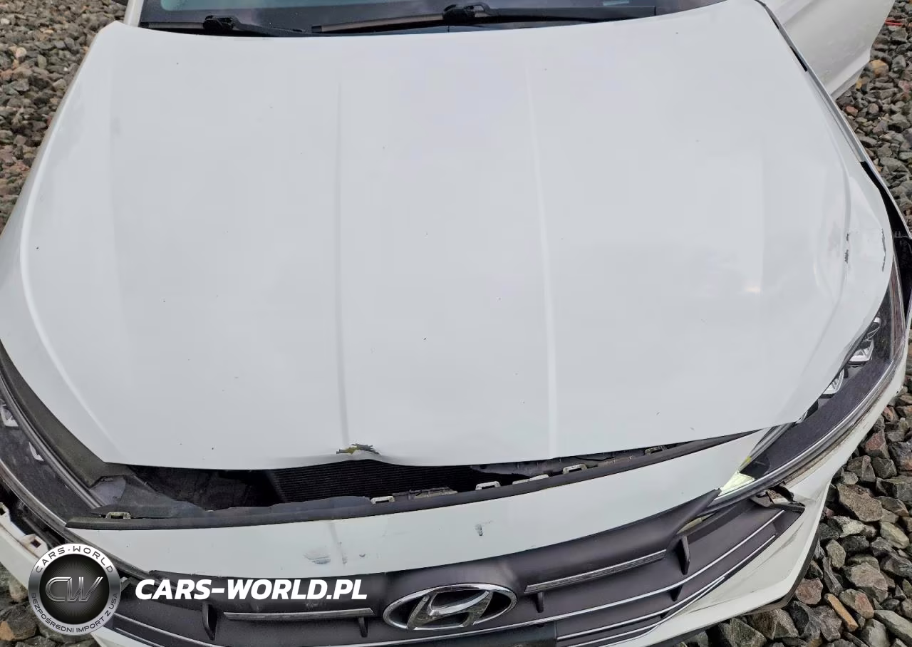 2019 Hyundai Elantra Limited VIN:5NPD84LF1KH415643 - 11