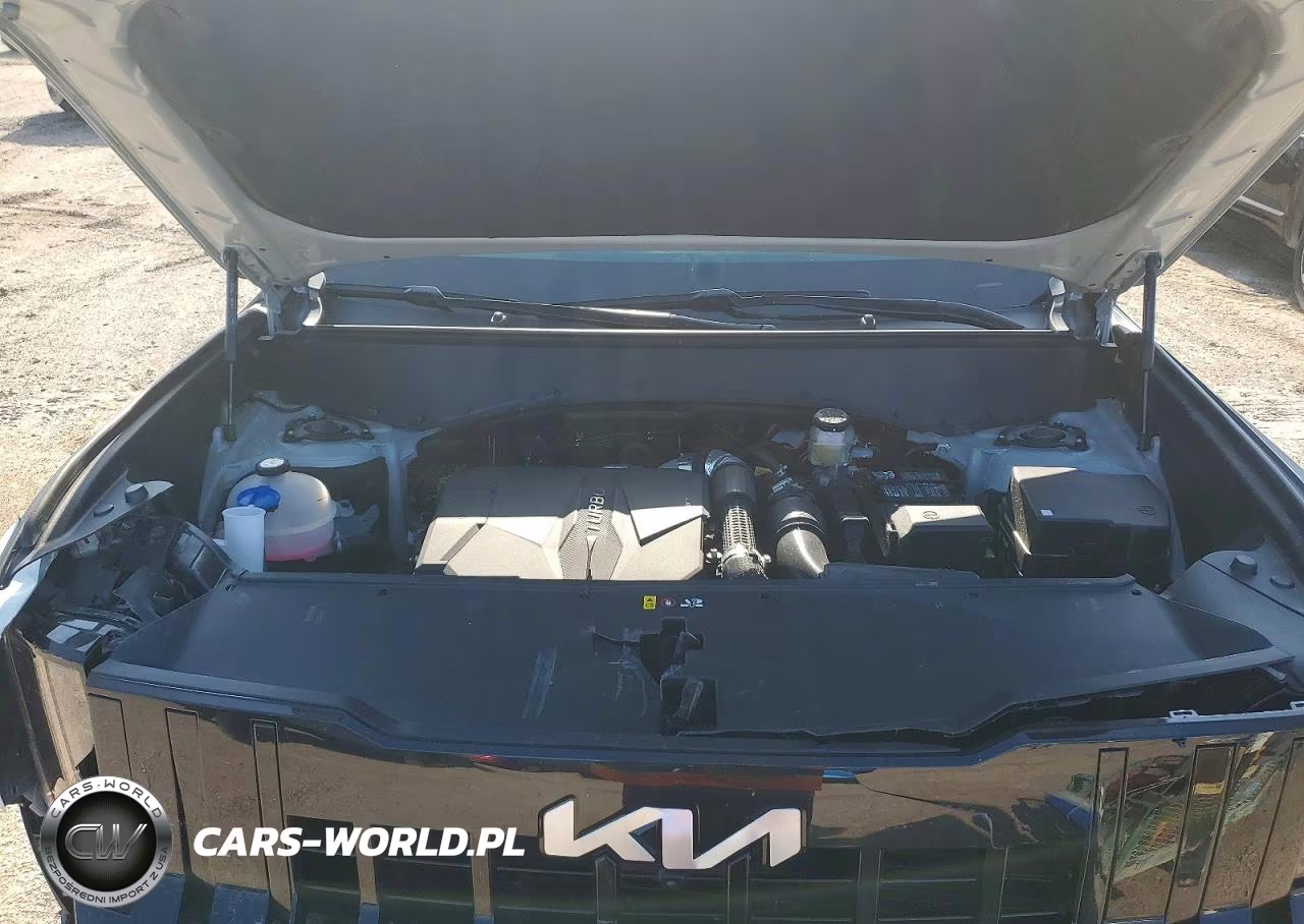 2027 Kia Telluride Sx VIN:5XYPD5S13VG021092 - 14