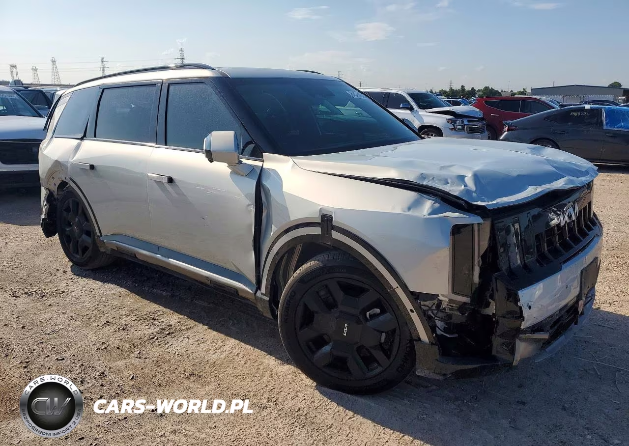 2027 Kia Telluride Sx VIN:5XYPD5S13VG021092 - 4