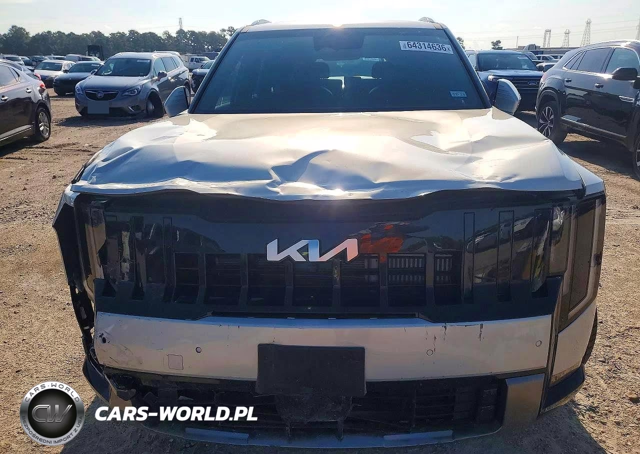 2027 Kia Telluride Sx VIN:5XYPD5S13VG021092 - 6