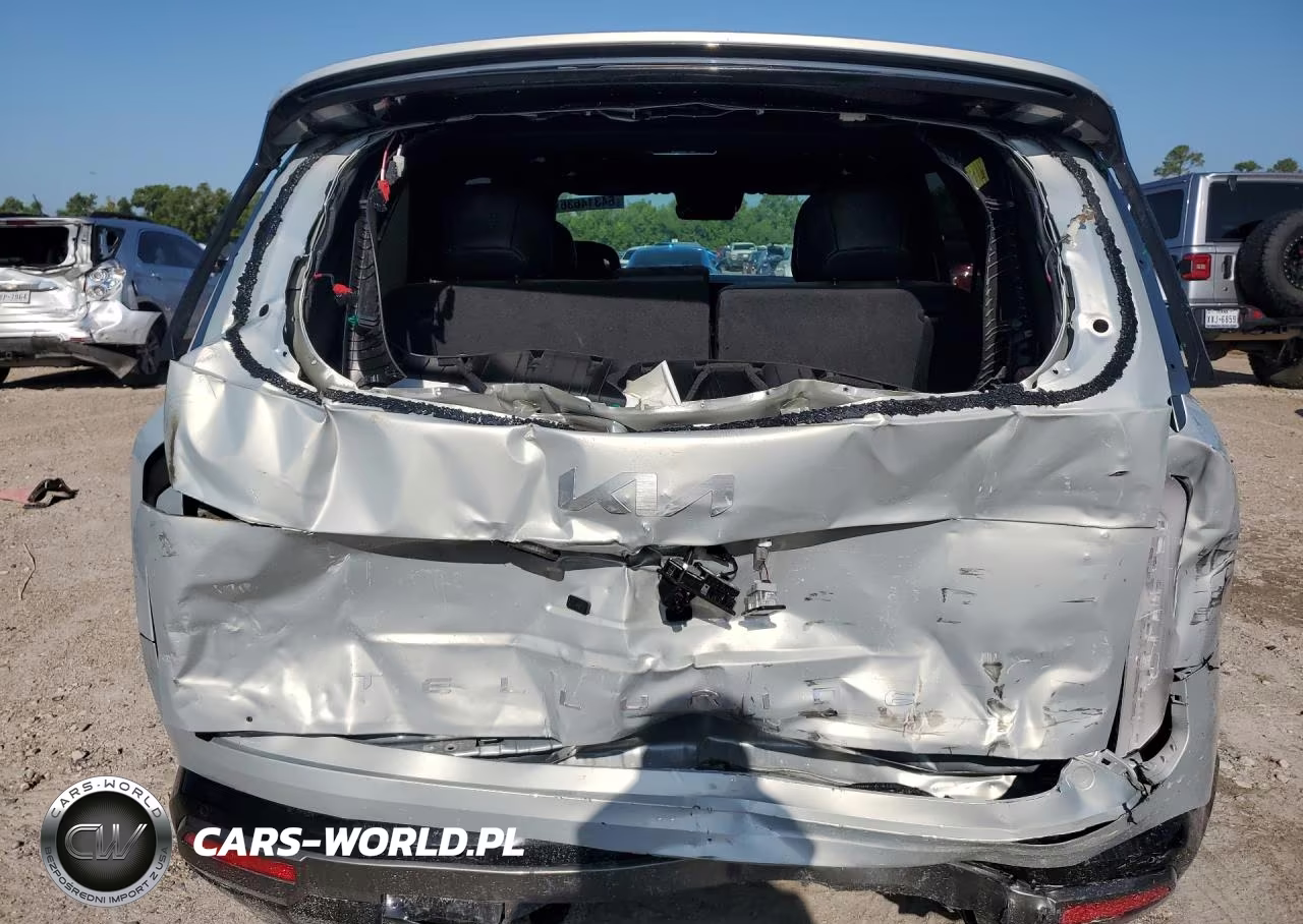 2027 Kia Telluride Sx VIN:5XYPD5S13VG021092 - 7