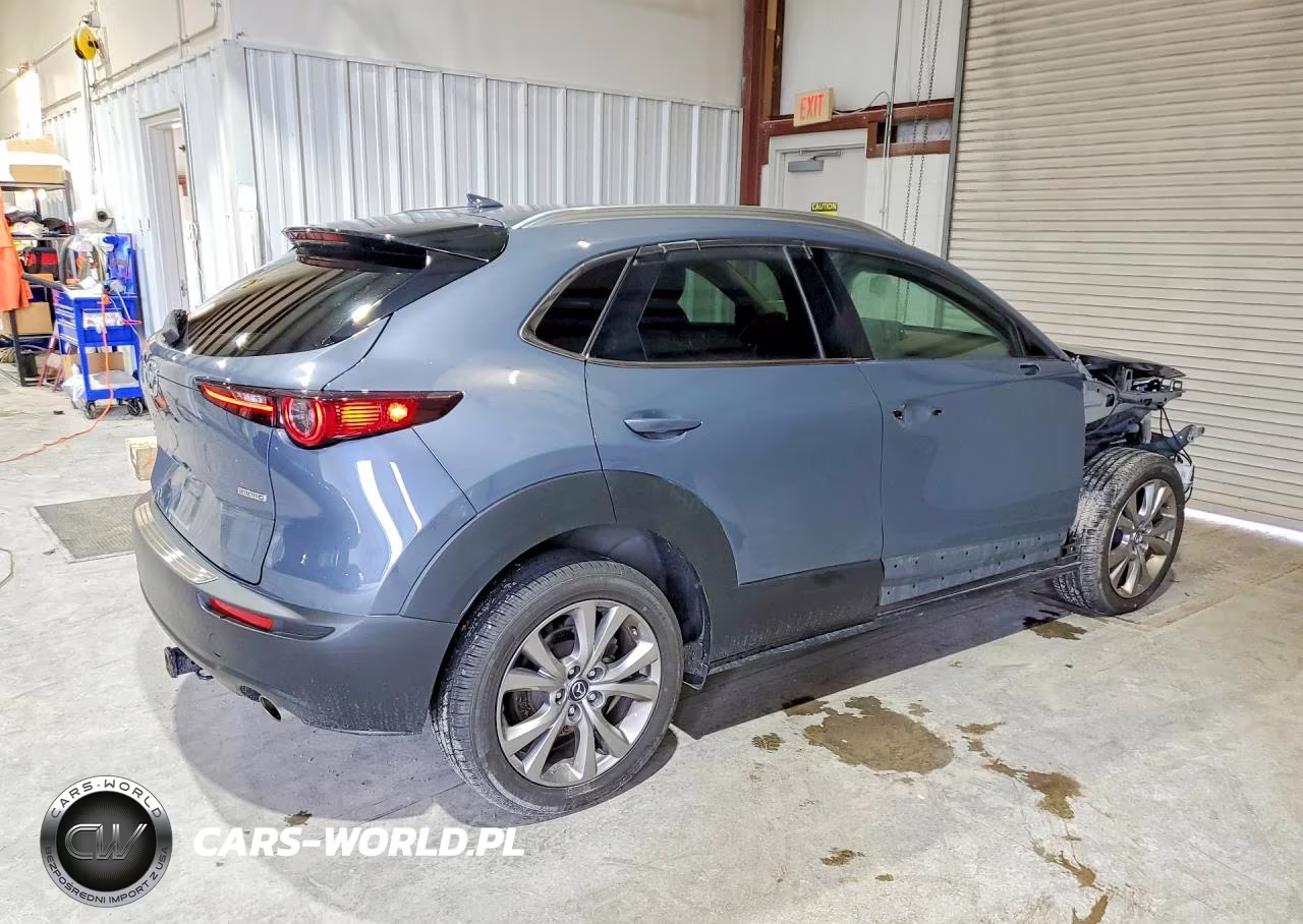 2021 Mazda Cx-30 Premium VIN:3MVDMBDL5MM238613 - 3
